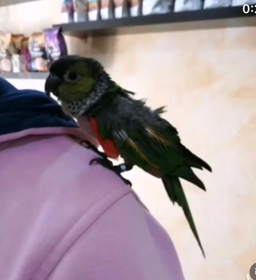 WhatsApp Image 2025-12-26 at 14.54.20 (1).jpeg