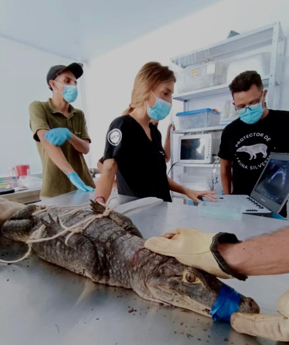 WhatsApp Image 2025-07-15 at 23.18.42 (5).jpeg