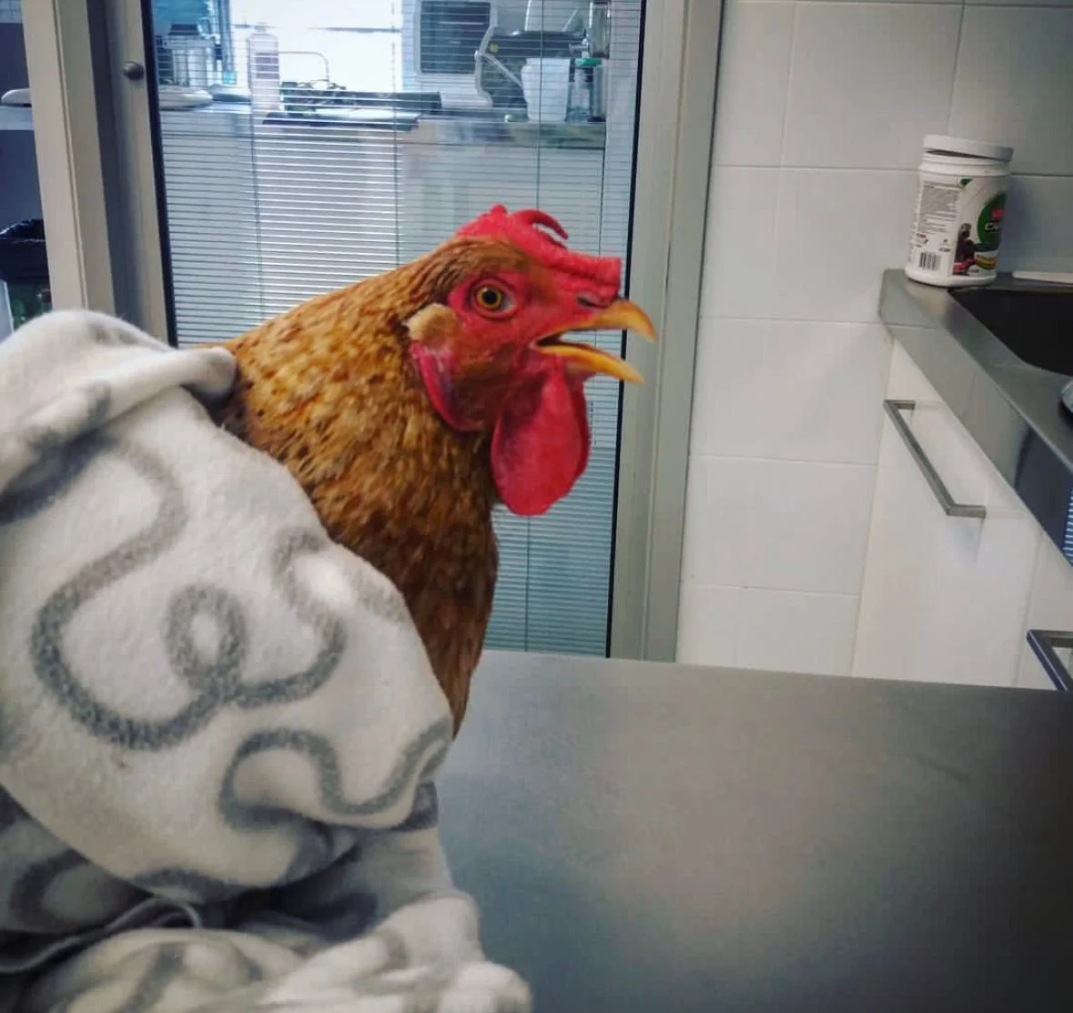 WhatsApp Image 2025-12-26 at 14.54.17.jpeg