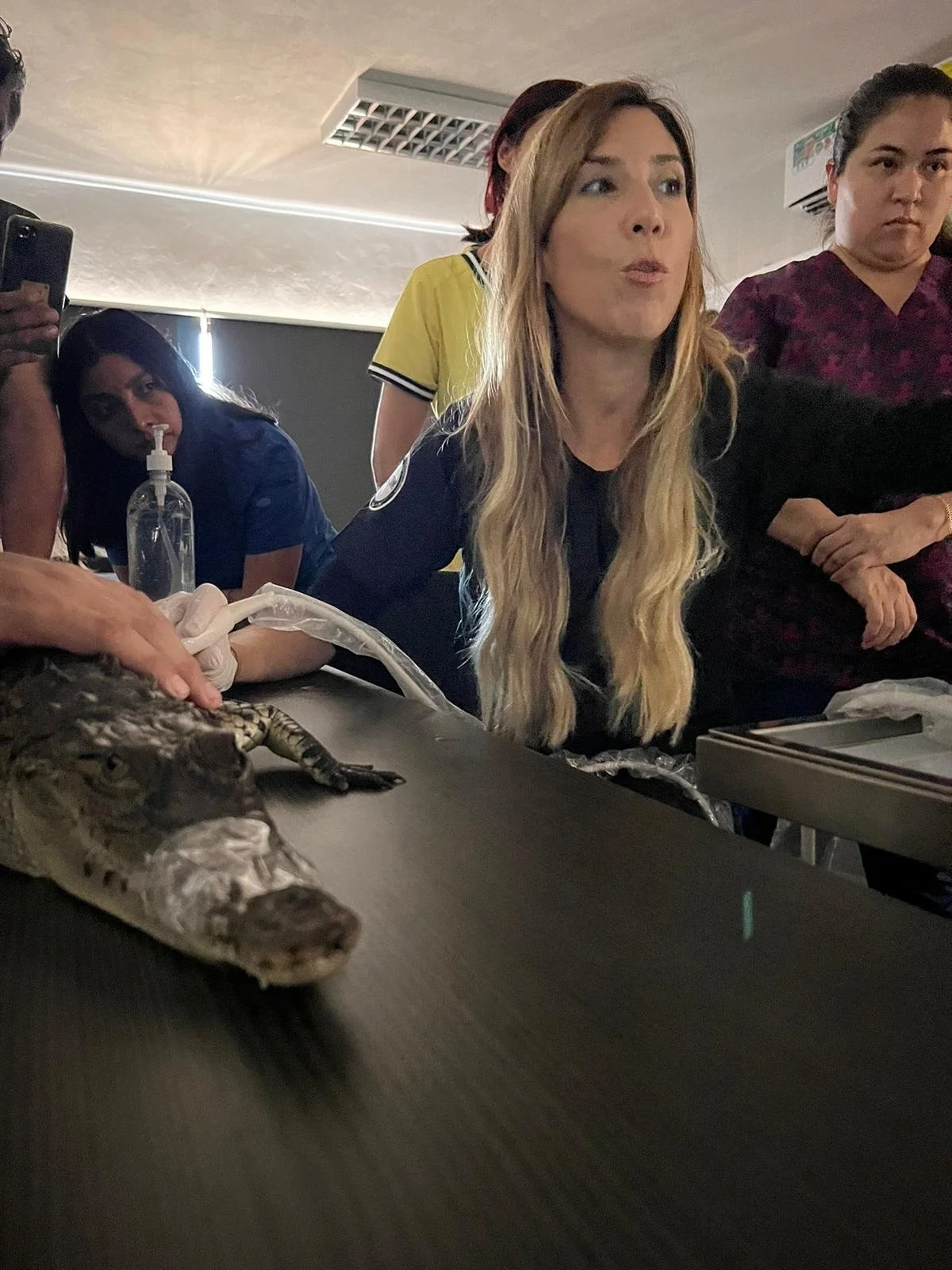 WhatsApp Image 2025-07-15 at 23.00.14 (1).jpeg