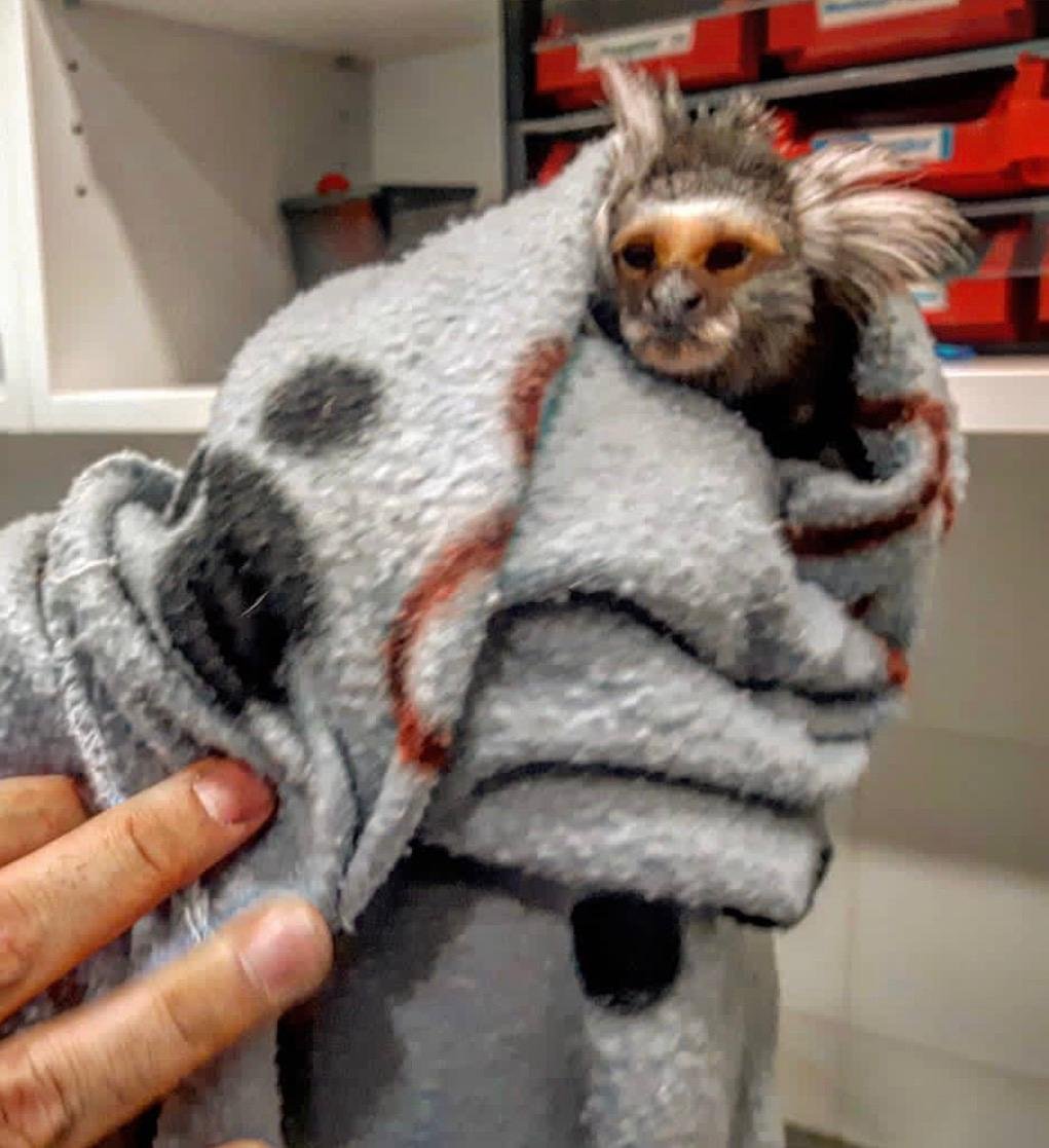 WhatsApp Image 2025-12-26 at 14.54.23.jpeg