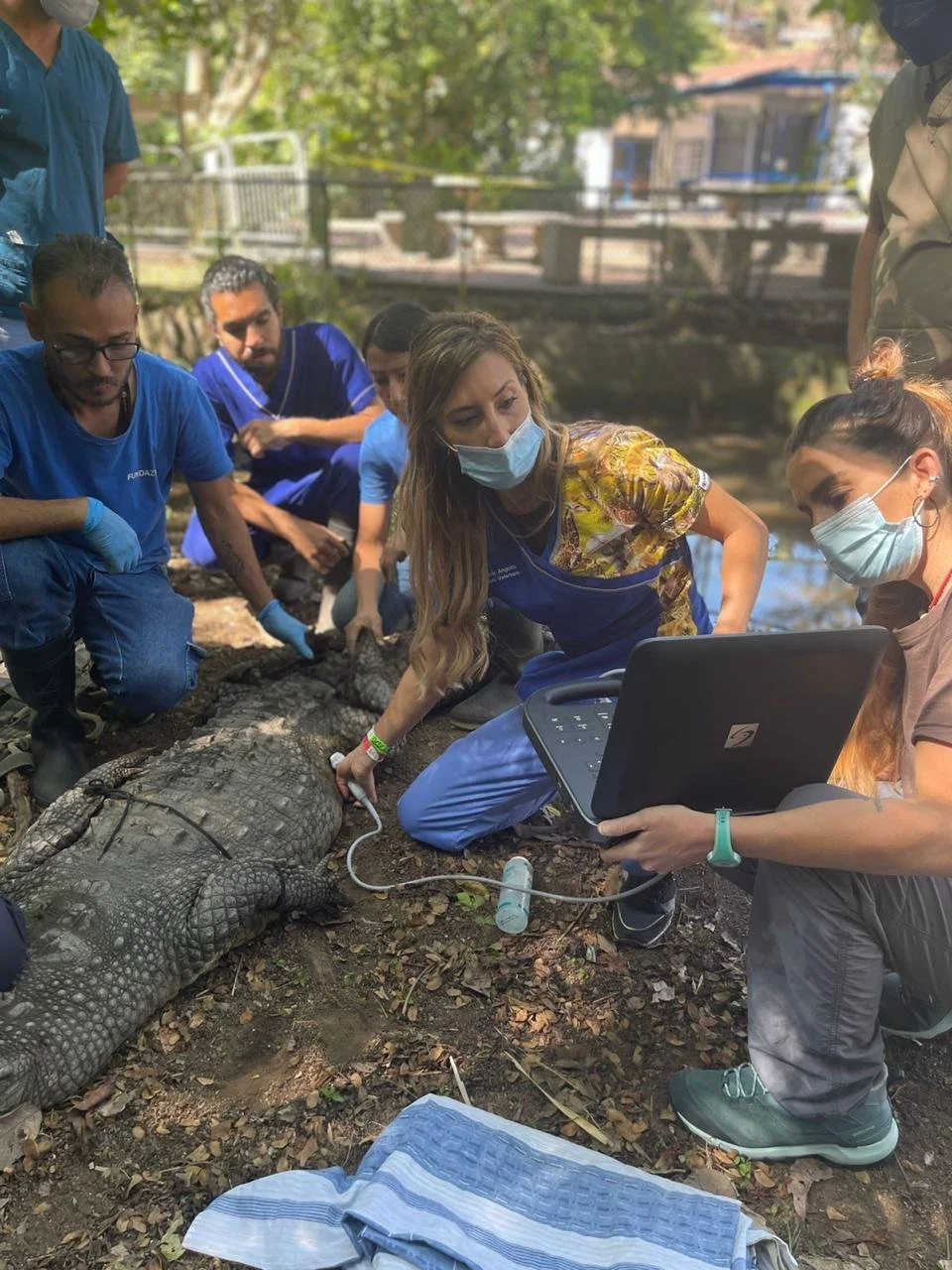 WhatsApp Image 2025-07-15 at 19.19.57.jpeg