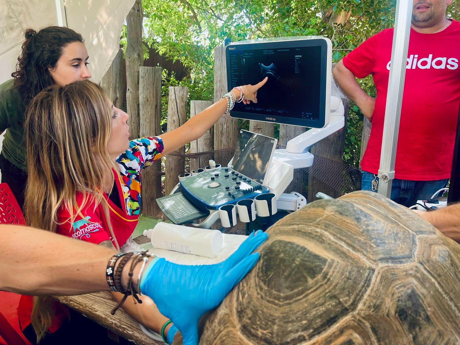 WhatsApp Image 2025-07-15 at 22.50.41 (8).jpeg