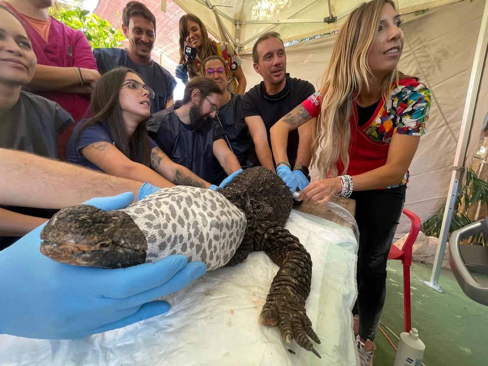 WhatsApp Image 2025-07-15 at 22.50.41 (7).jpeg