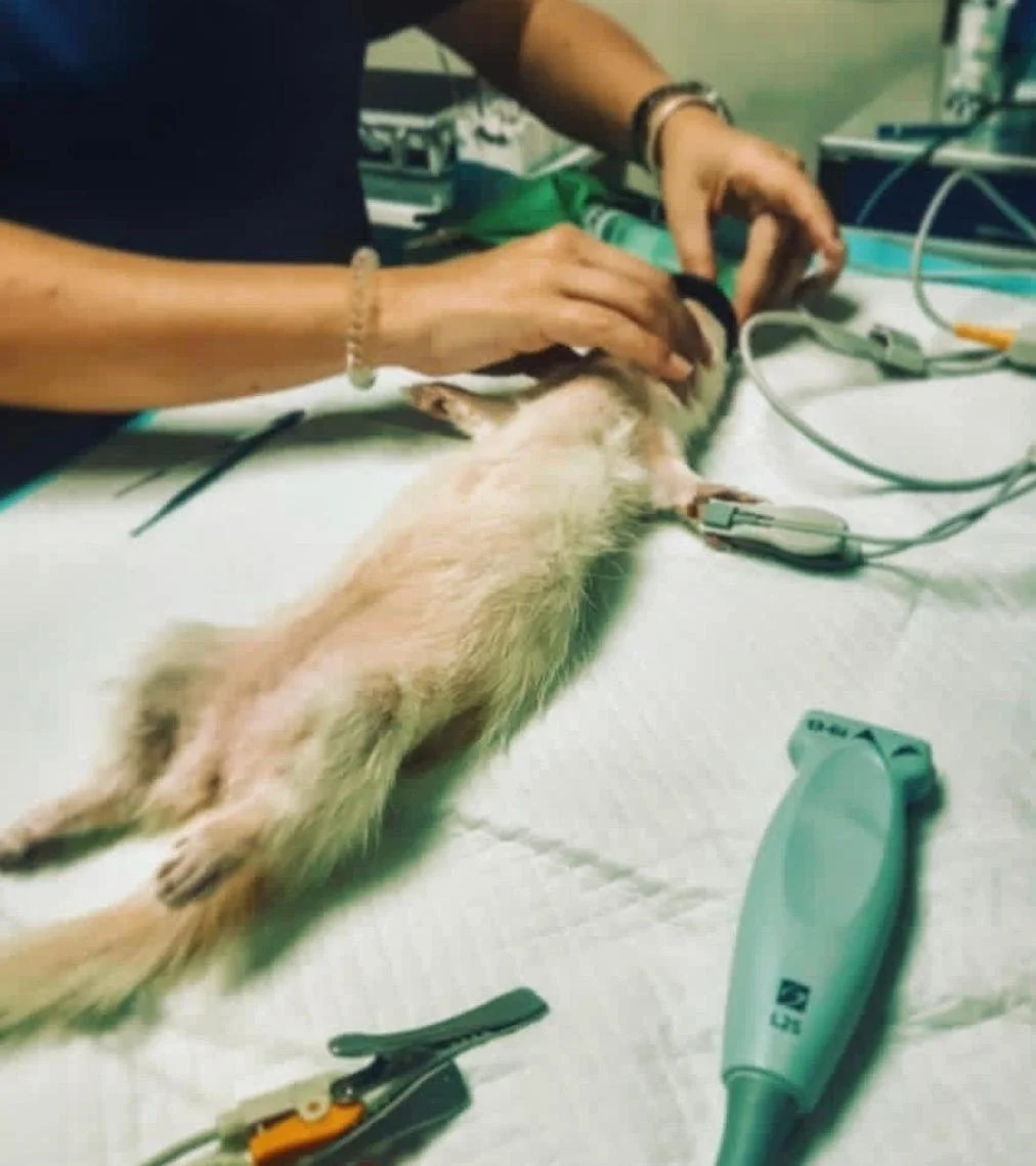 WhatsApp Image 2025-12-26 at 14.54.23 (1).jpeg