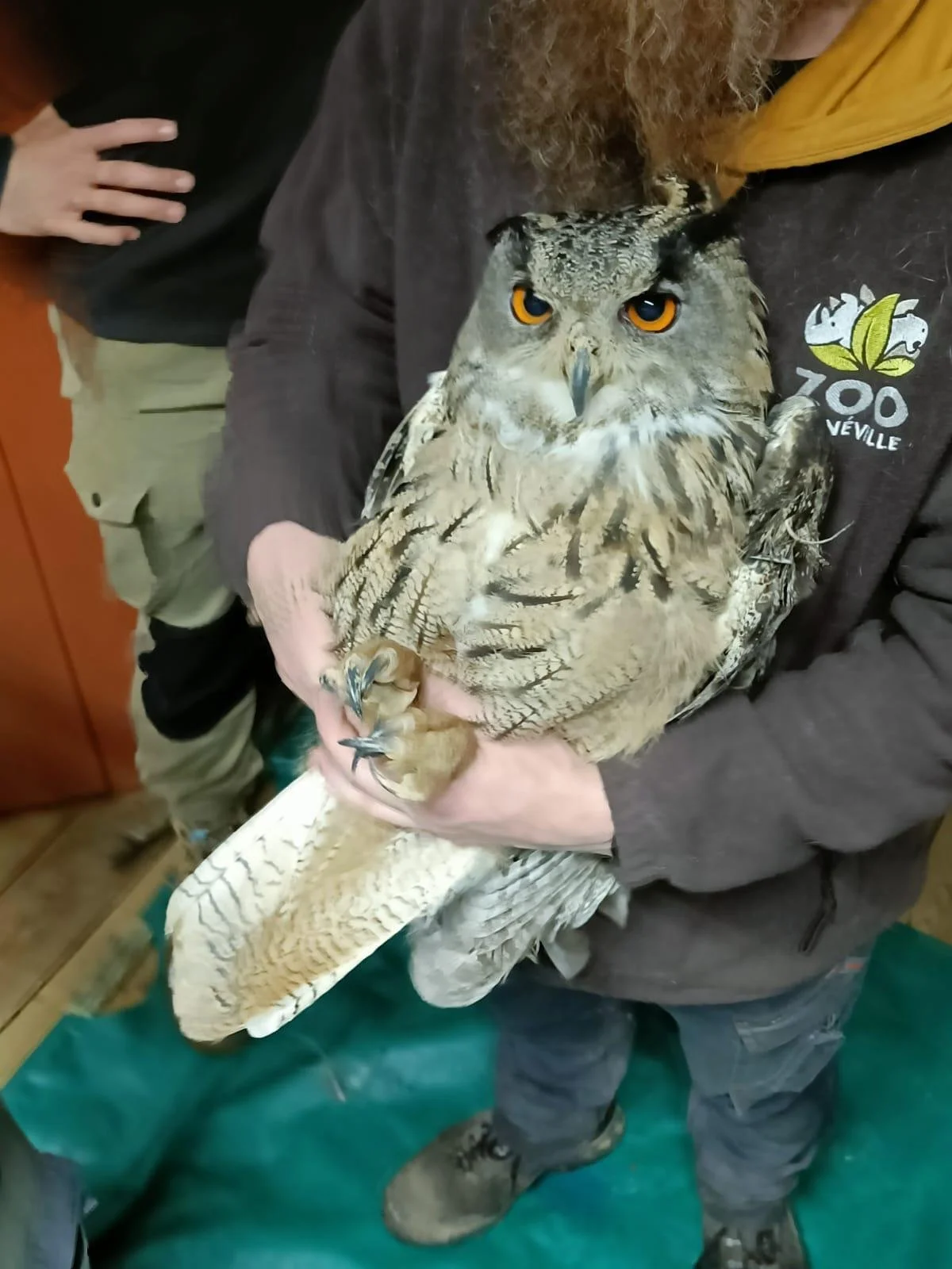 WhatsApp Image 2024-04-09 at 16.13.21.jpeg