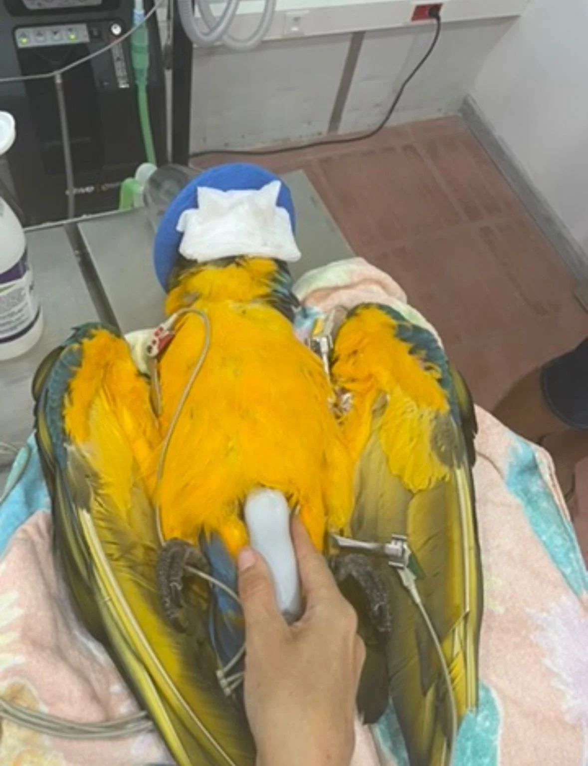 WhatsApp Image 2025-12-26 at 14.54.16.jpeg