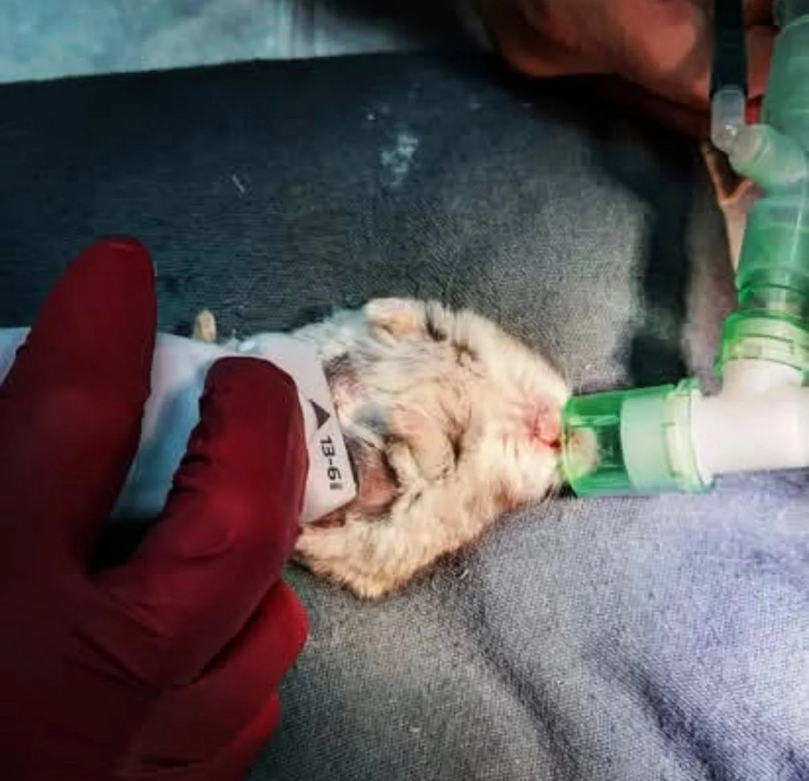 WhatsApp Image 2025-12-26 at 14.54.23 (2).jpeg