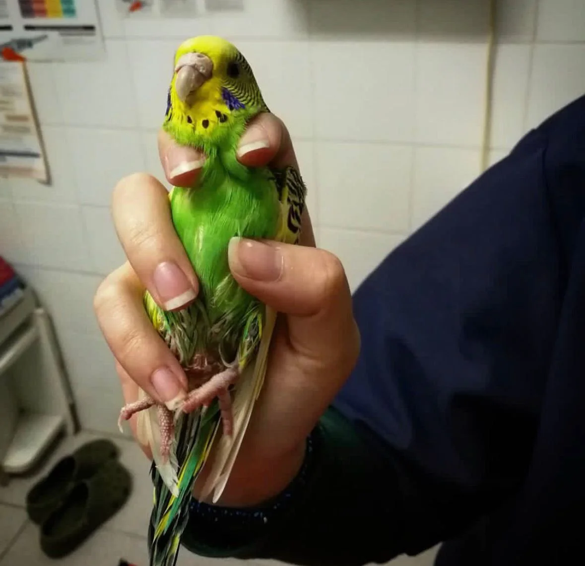 WhatsApp Image 2025-12-26 at 14.54.17 (1).jpeg