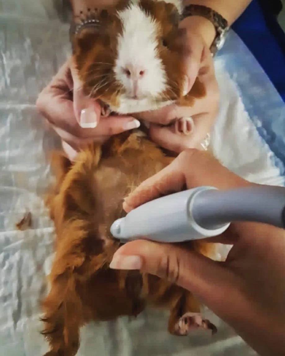 WhatsApp Image 2025-12-26 at 14.54.21.jpeg