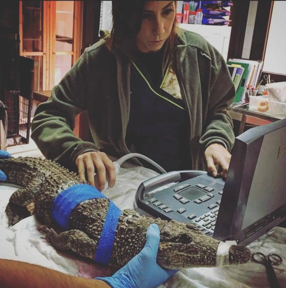 WhatsApp Image 2025-07-15 at 22.50.40 (9).jpeg