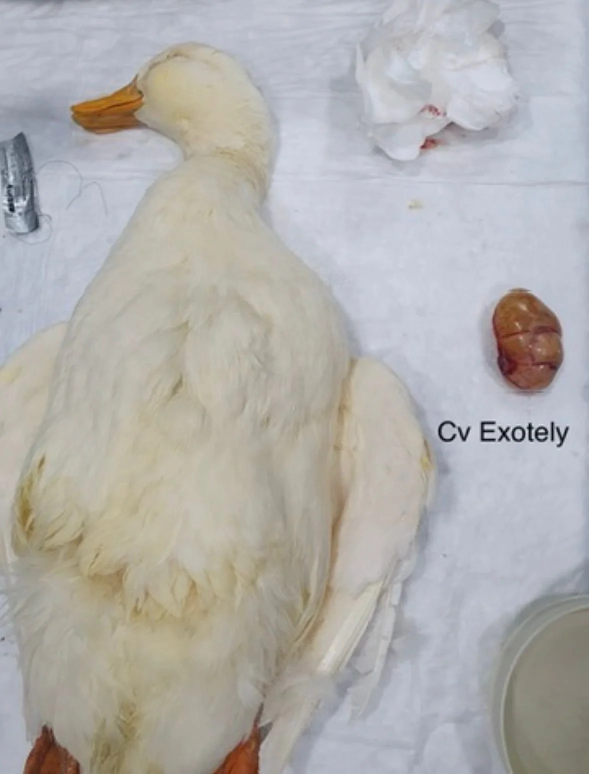 WhatsApp Image 2025-12-26 at 14.54.02.jpeg