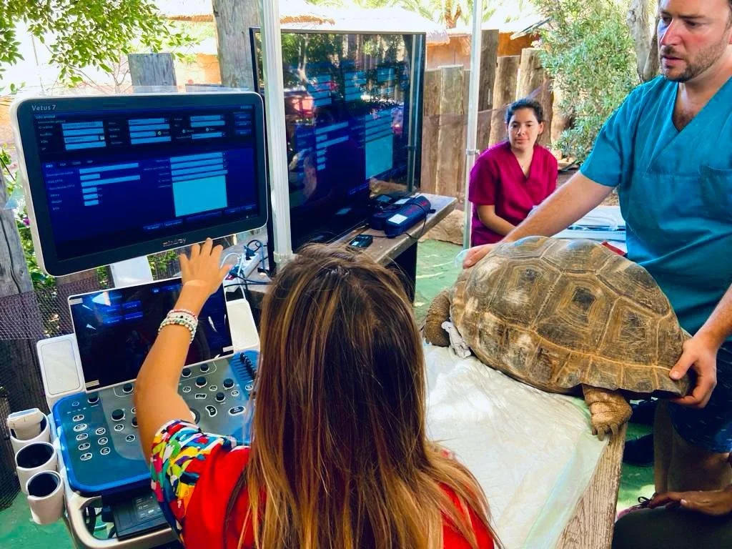 WhatsApp Image 2025-07-15 at 22.50.41 (3).jpeg