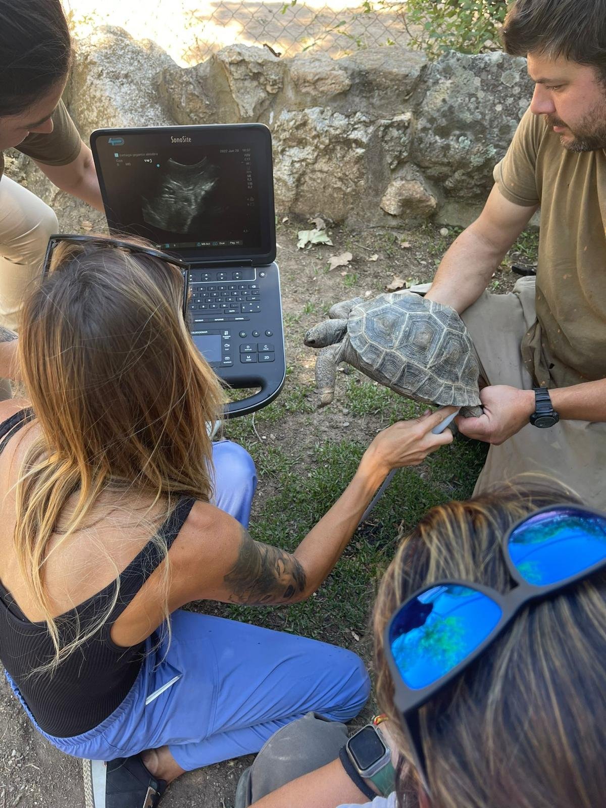 WhatsApp Image 2025-07-15 at 19.19.57 (5).jpeg