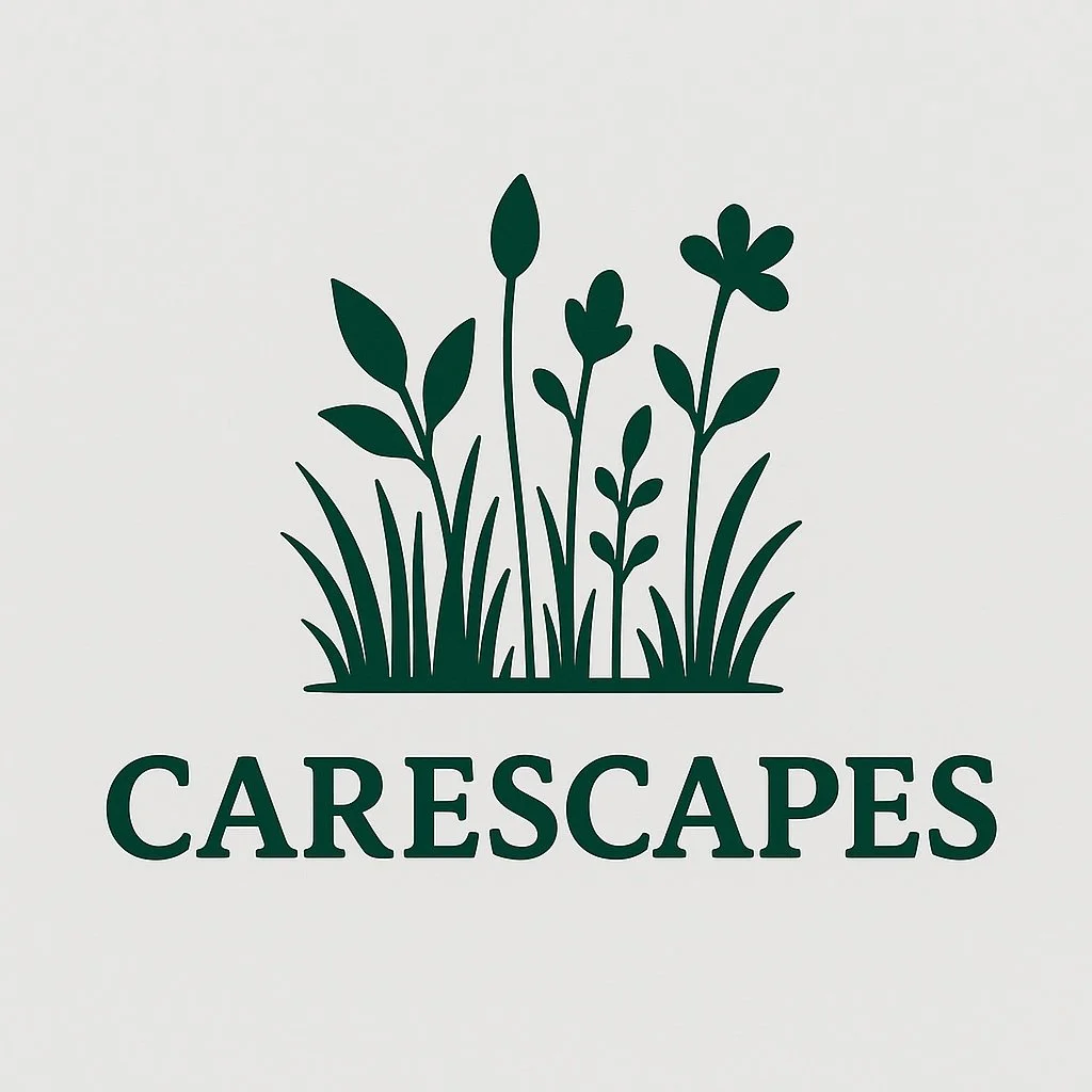 CareScapes