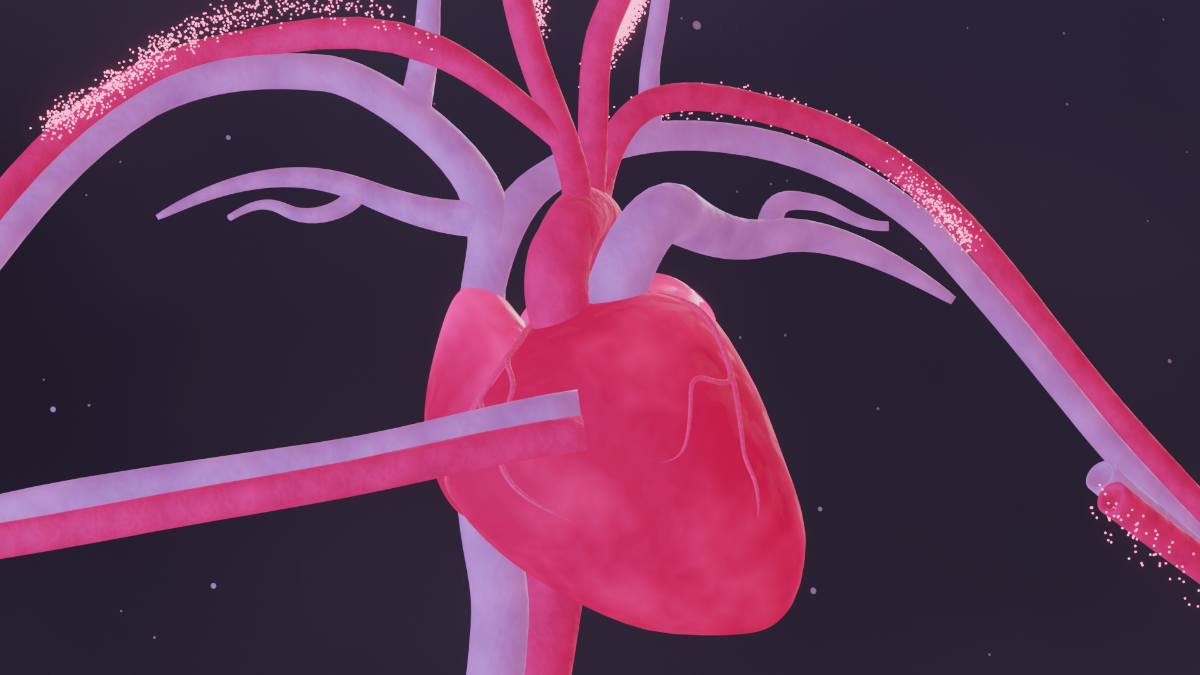 Claroswift Medical Scene showing blood vessels