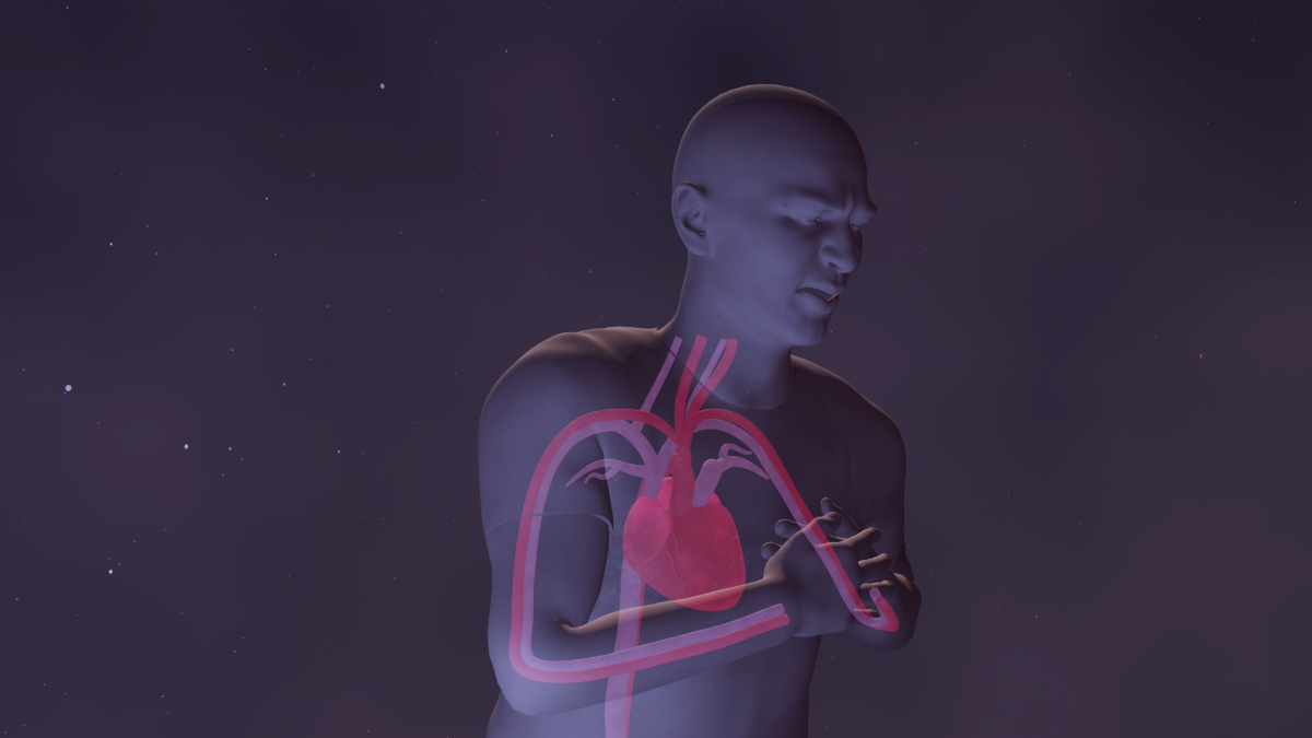 Claroswift Medical
Scene zooming into blood vessels