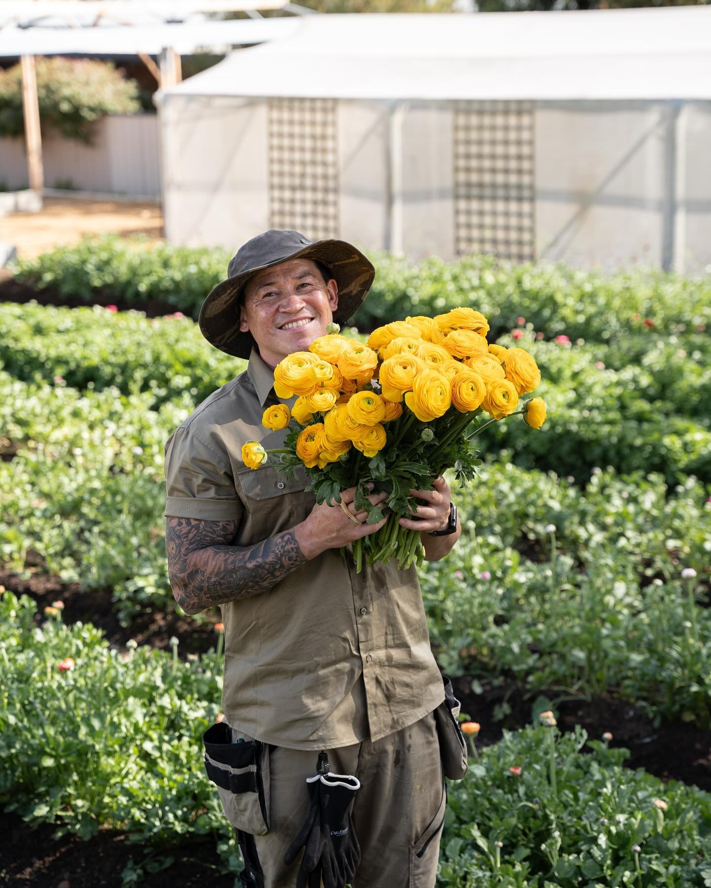 Farmer Rob would like to report&hellip;.

💛 Our ranunculus beds are 3/4 planted. 
💛 The new field is nearly finished and looking 👌🏻
💛 We have planted extra corms this year in the colours our community love including Rob&rsquo;s favourite too, do