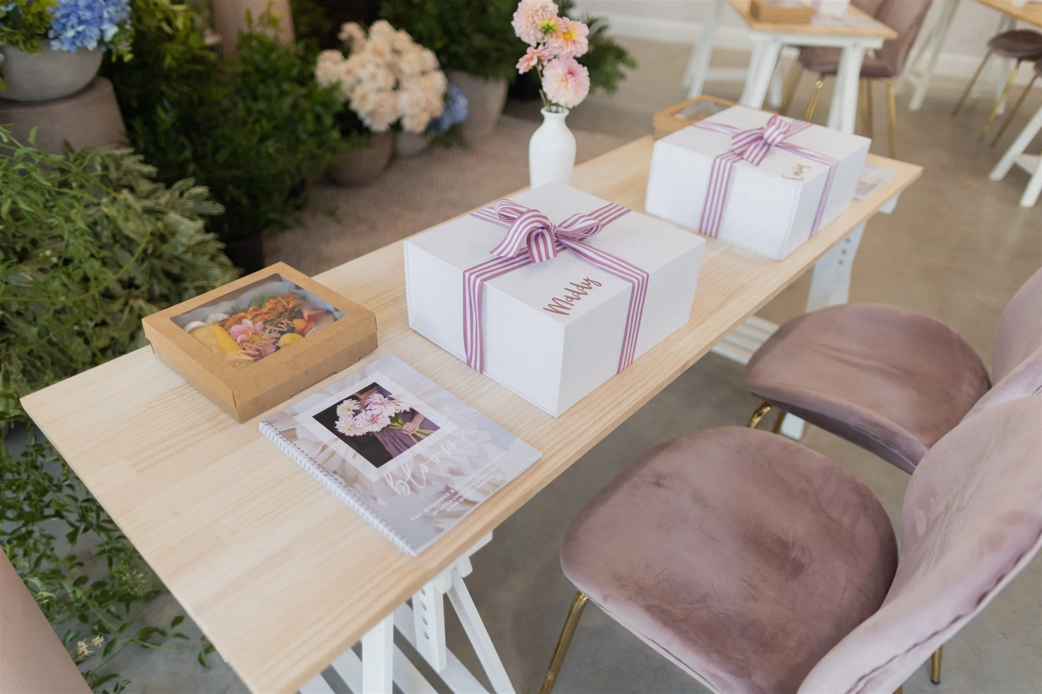 Bloom 1 2024 _ Luke John Photography-12.JPG