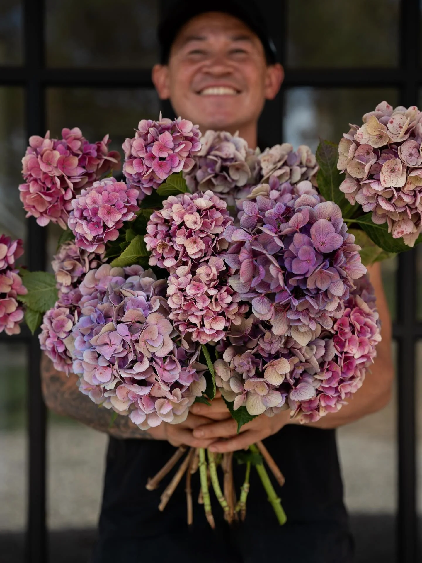 Our flowering hydrangeas have come to an end, especially after this week&rsquo;s heat. But the leftover blooms dry naturally on the plant, slowly shifting and deepening in colour. I love the mix of purples, lilacs and pinks. 🩷