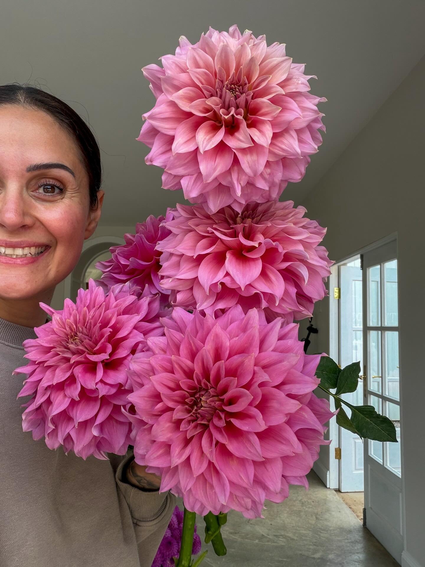 Another day among the dahlias! 🥹💫

🌸 We started our day in the dark this morning for a fun sunrise photo shoot.

🌸 Rob harvested the main field while I took notes from our breeding patch and wrapped bunches for our favourite patisserie. 

🌸 The 