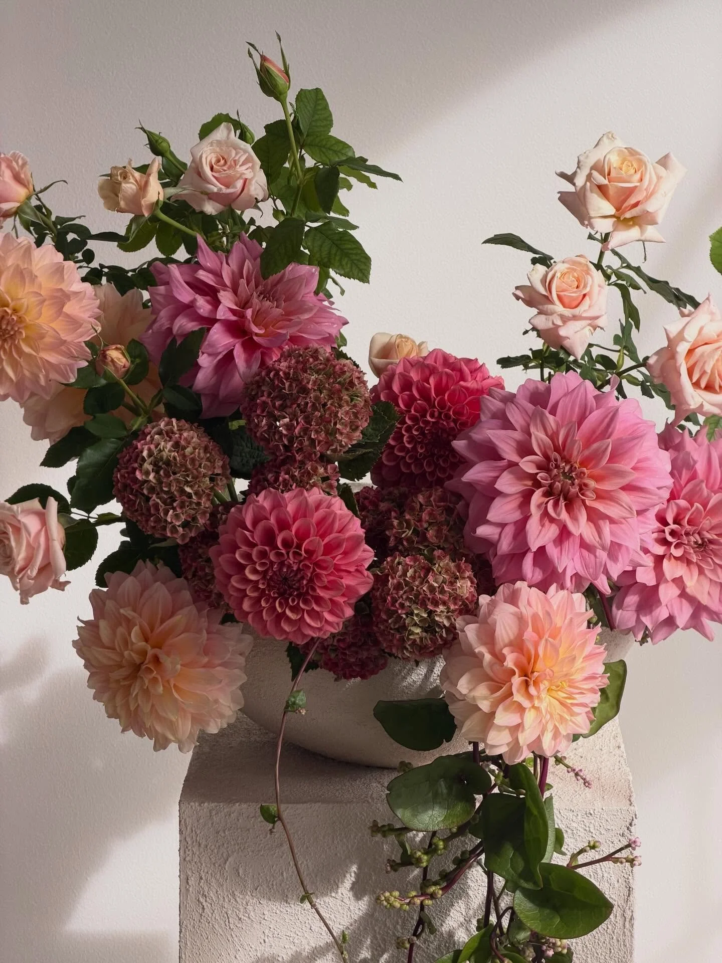 I&rsquo;ve had a few messages asking about the foliage and hydrangeas I used in yesterday&rsquo;s floral arrangement. The foliage was climbing spinach from our vegetable garden and end of season hydrangeas from our farm.

I&rsquo;ve never grown or ea