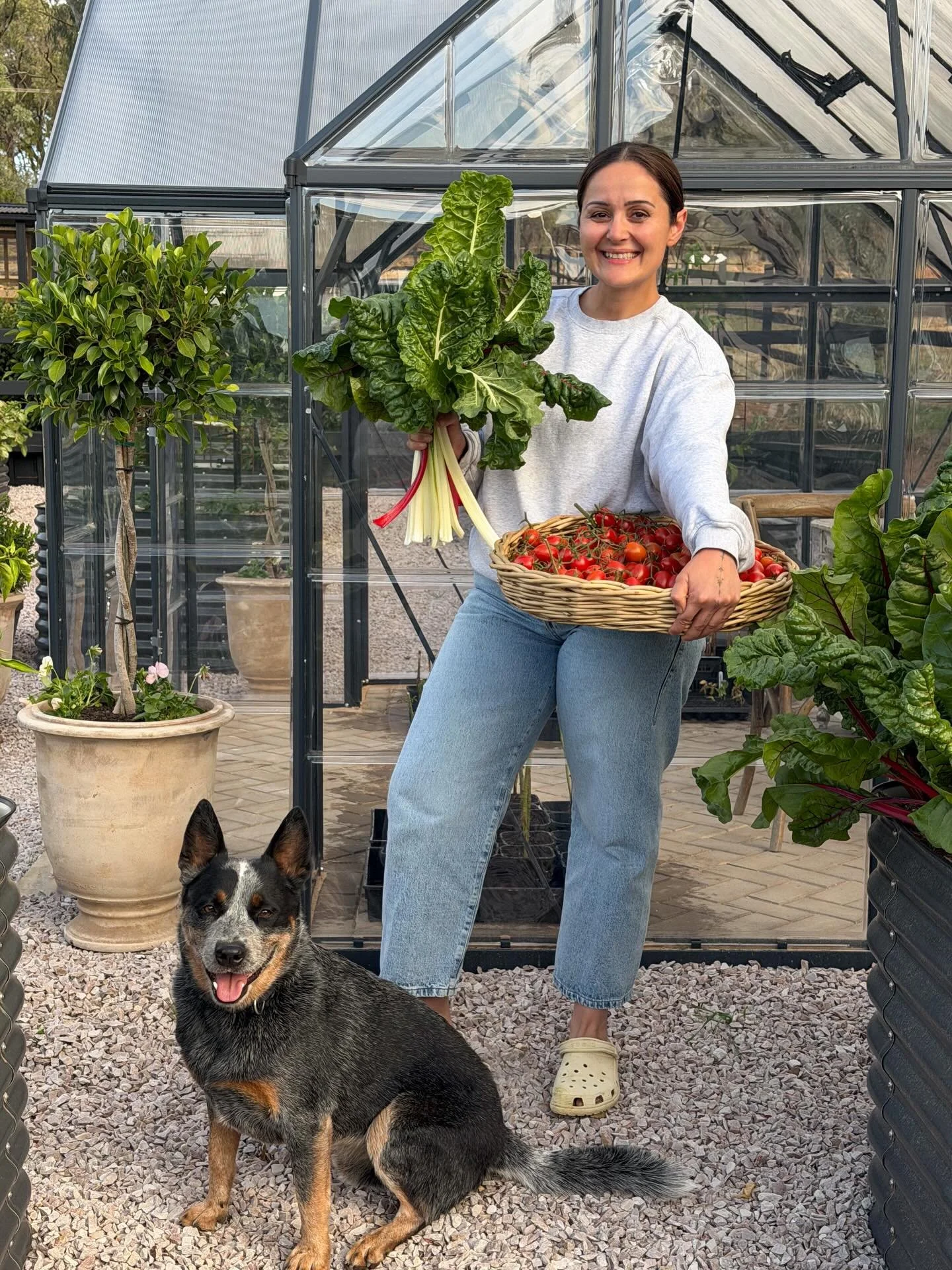 Officially in my vegetable garden era! 🫑
It&rsquo;s only been four months since establishing our veggie garden, and it&rsquo;s already brought me so much joy.

I&rsquo;ve learnt so much from this community, I&rsquo;m so grateful for all the advice a