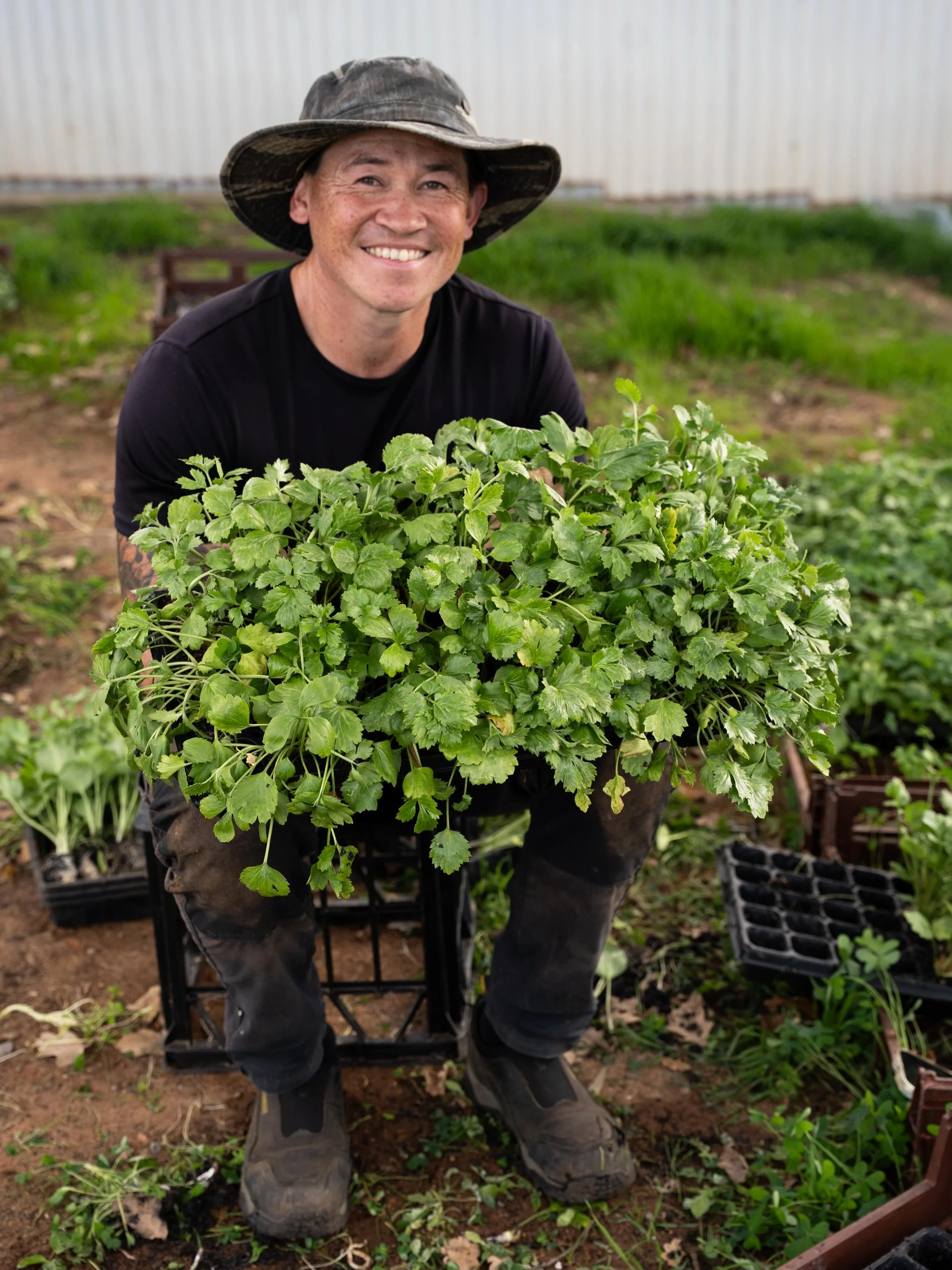 Farmer Rob has spent the last two weeks preparing beds and planting ranunculus on the farm, and we&rsquo;re so happy with our corm stock this season. Healthy growth and the transplanted stock has already taking off in the field.

Now comes the nurtur