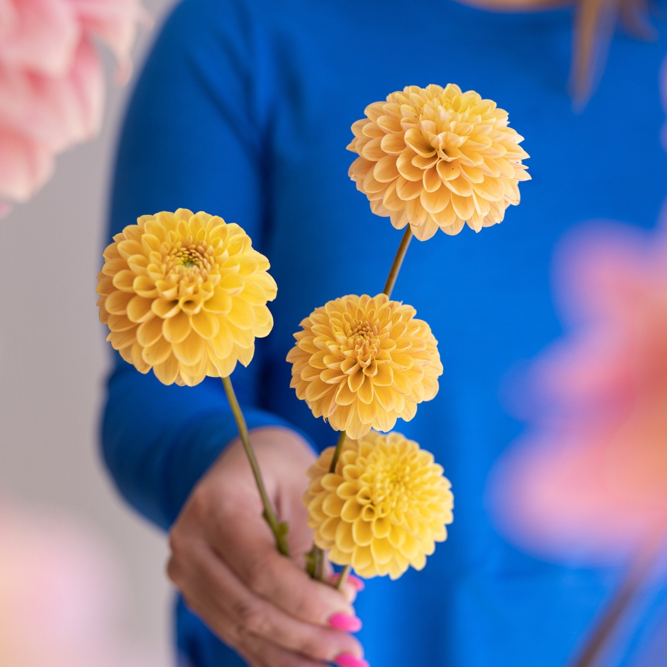 D719A8CF-209E-49C9-BBC7-8480FF81EE3A.jpg