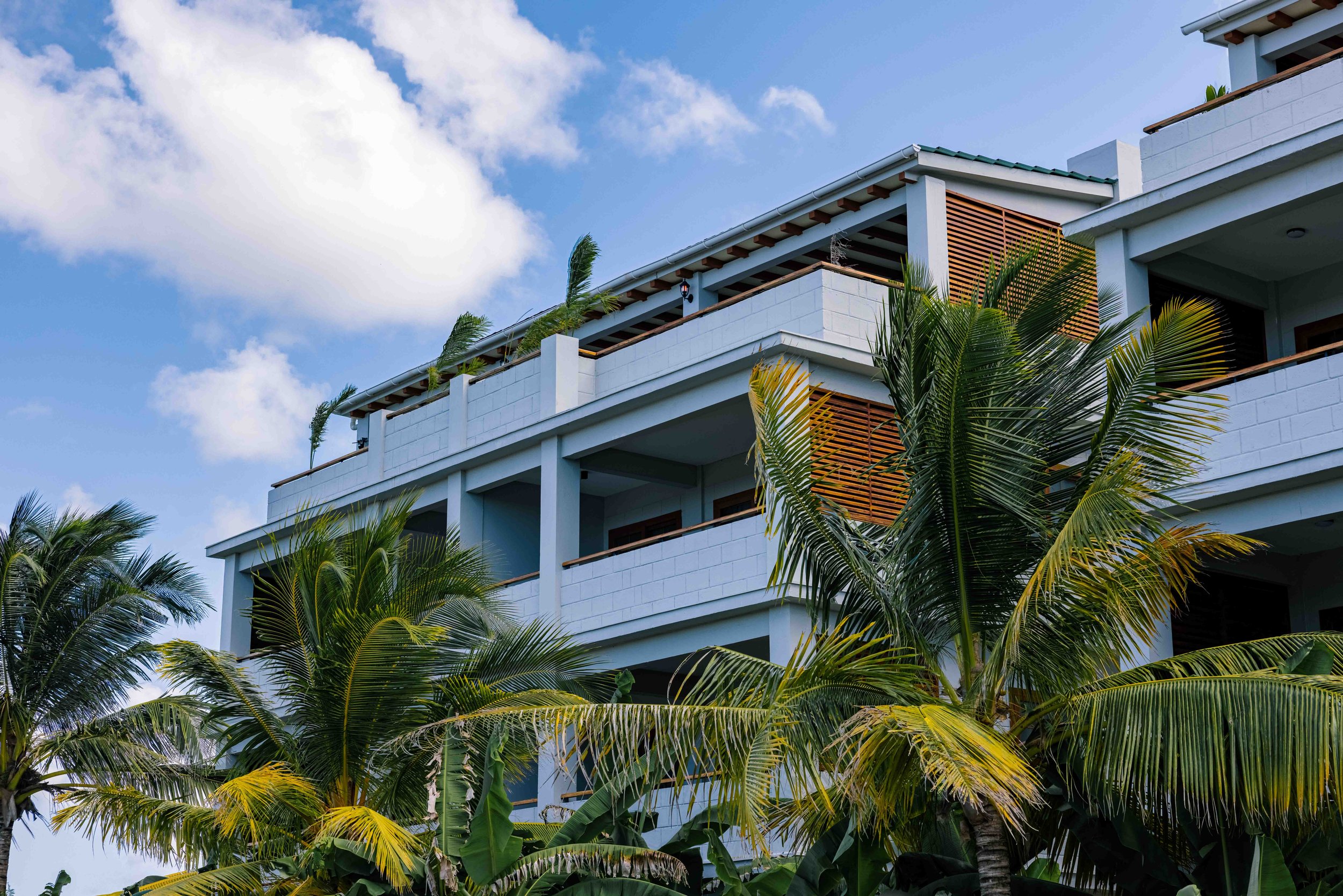 Modern white multi-story building with balconies surrounded by green palm trees under a blue sky with clouds.
