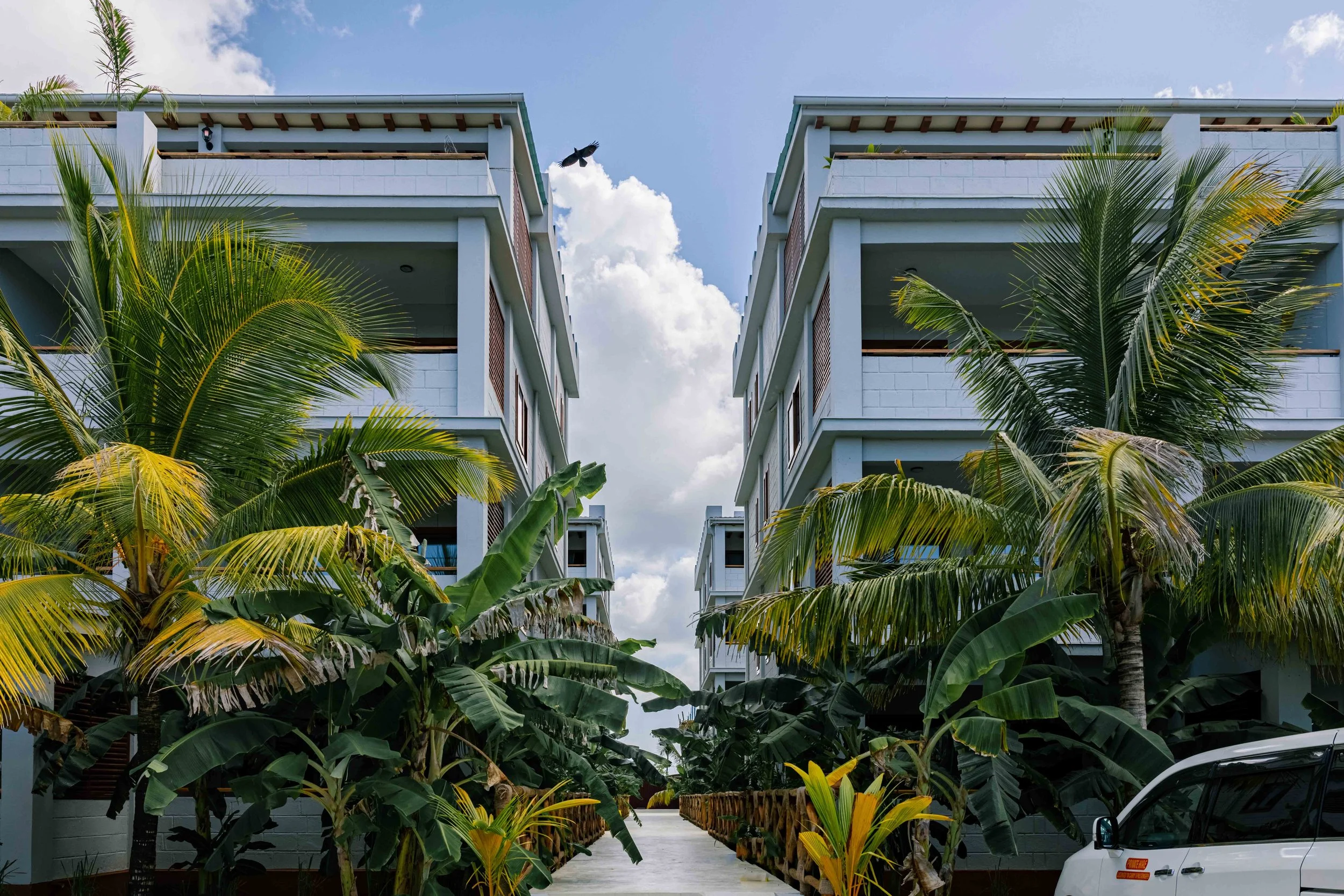 Two modern white buildings with balconies, surrounded by lush green palm trees, under partly cloudy blue sky.