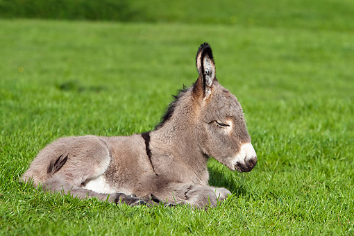 Five Reasons Your Low Back Hurts (Part 2)