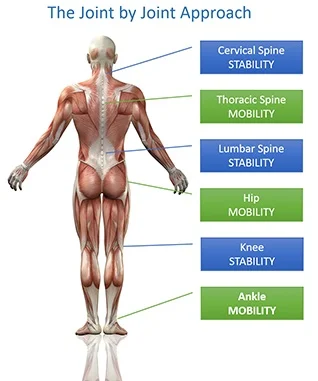 Five Reasons Your Low Back Hurts (Part 1)
