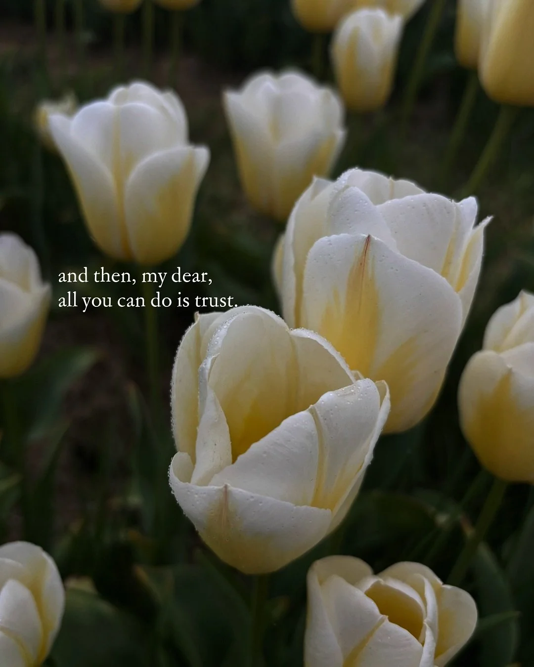 A poem from Spring in the book, Ceason - a fable and poetry collection about a girl whose body and personality changes with the seasons. Spring, to her, is filled with hope and new possibilities. A season for dreaming. A resting period where, suddenl