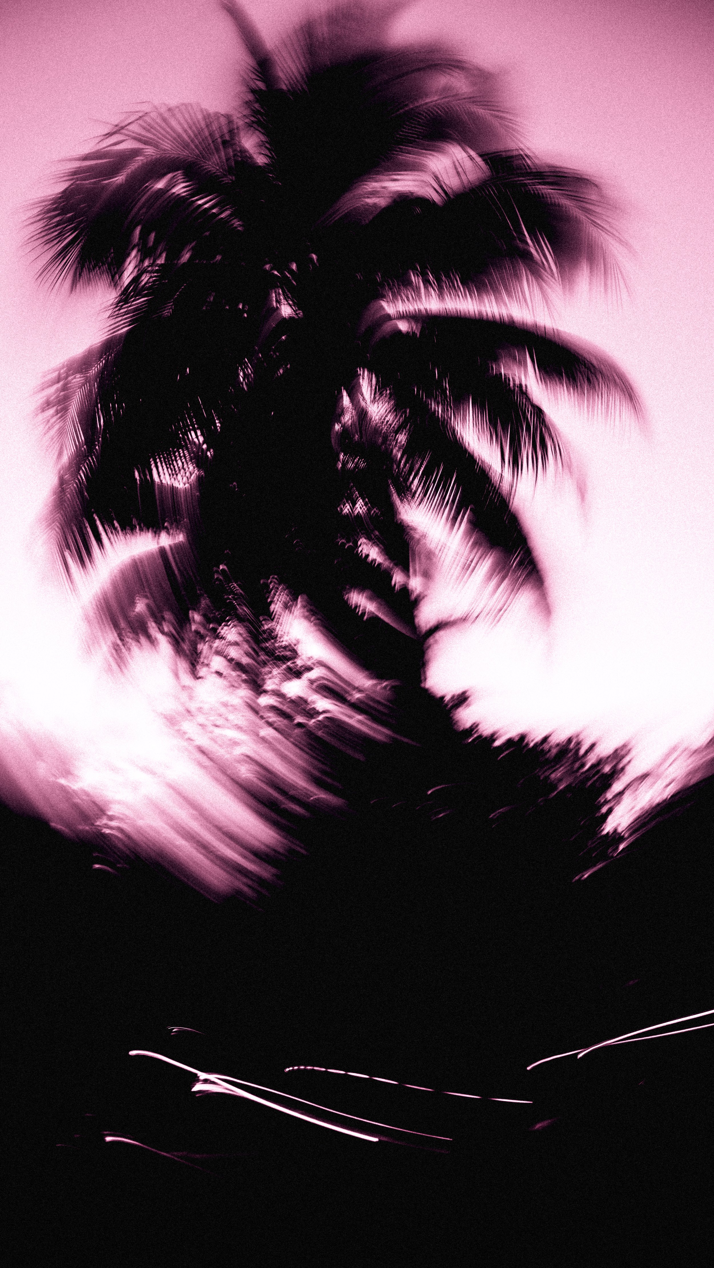 Silhouette of a palm tree with motion blur effects against a pink sky.