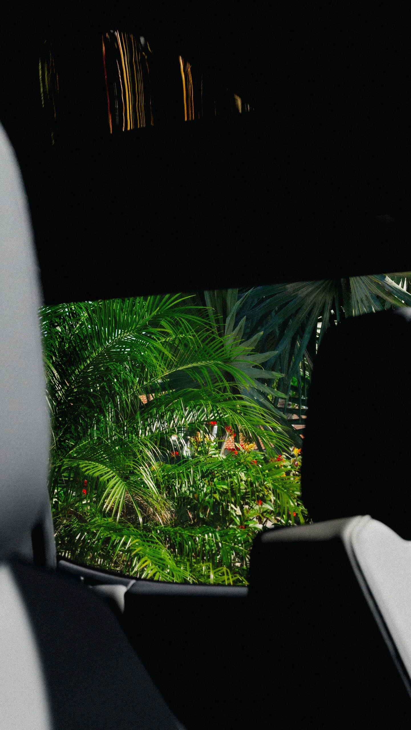 View of lush green tropical plants and red flowers seen through a vehicle window, with the car dashboard and seats partially visible in the foreground.