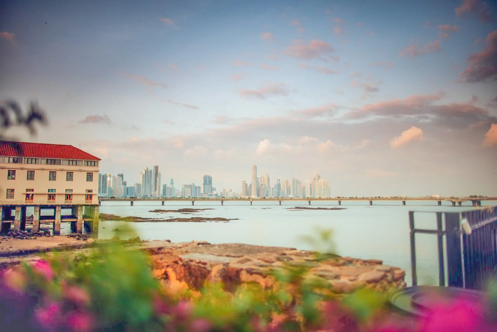 City skyline viewed from a waterfront, with buildings in the distance, a bridge crossing the water, and a building with a red roof on the left. Flowers and rocks in the foreground.