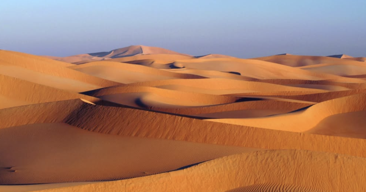 Expansive desert with rolling sand dunes and a clear blue sky