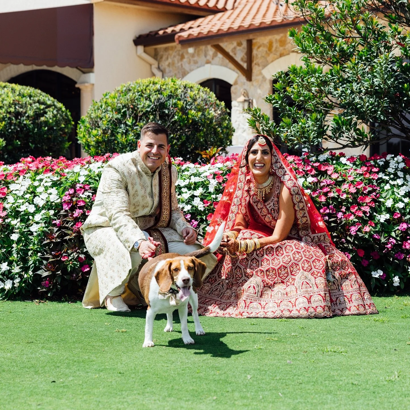 Flower dog &gt; 
Still daydreaming about this day