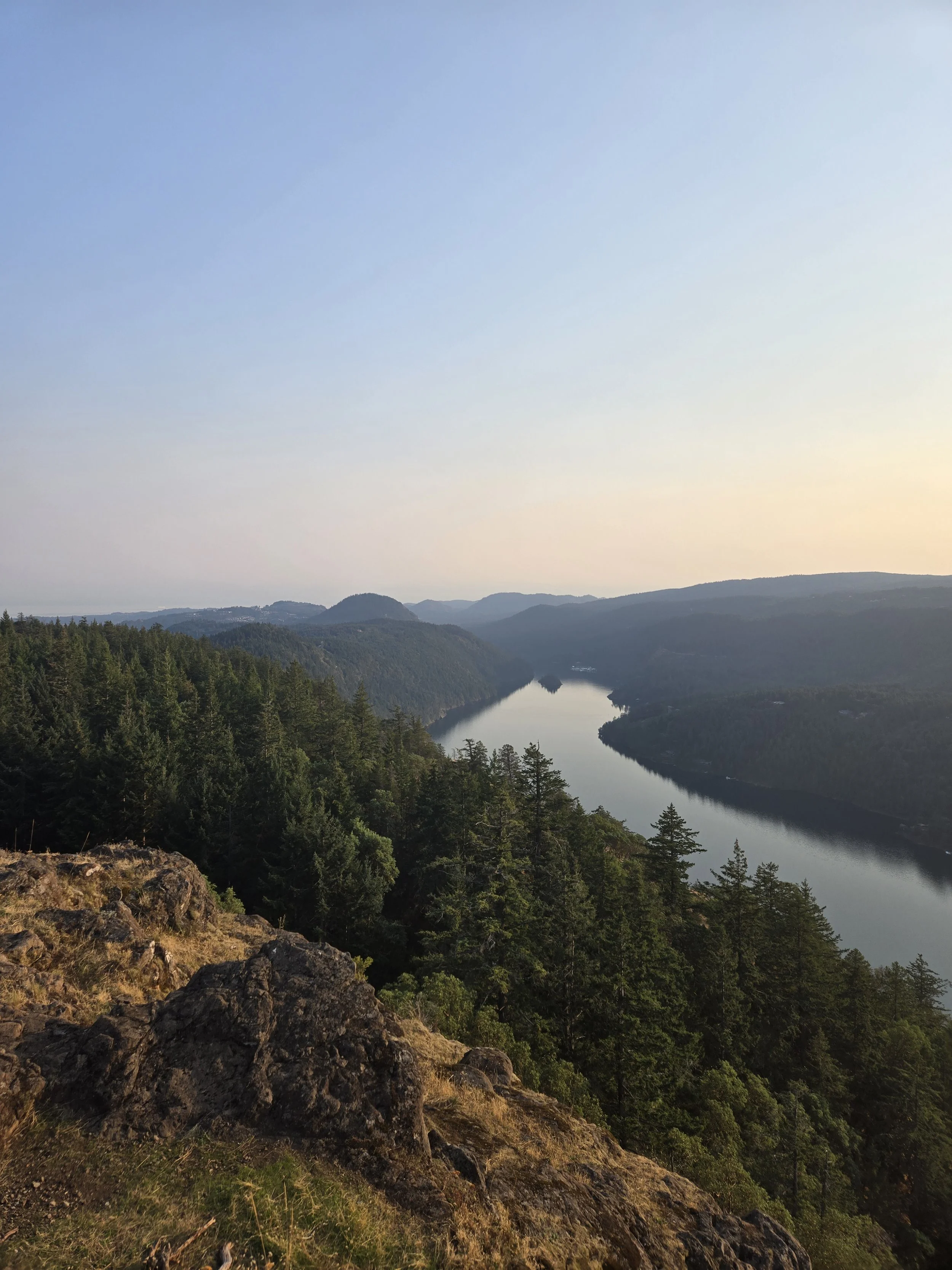 A scenic view of a winding river flowing through a lush green forested valley under a clear sky.