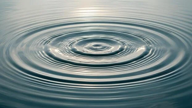 The Power of Centering: Success Through Aikido Training Line®