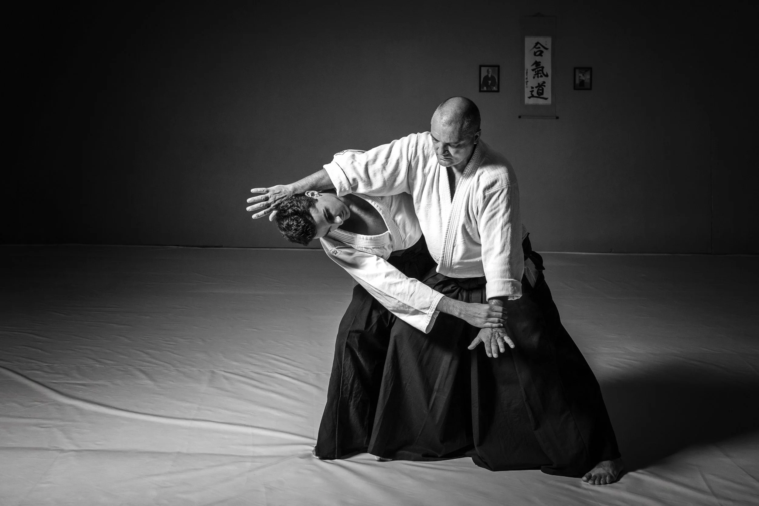 The Power of Centering: Success Through Aikido Training Line®