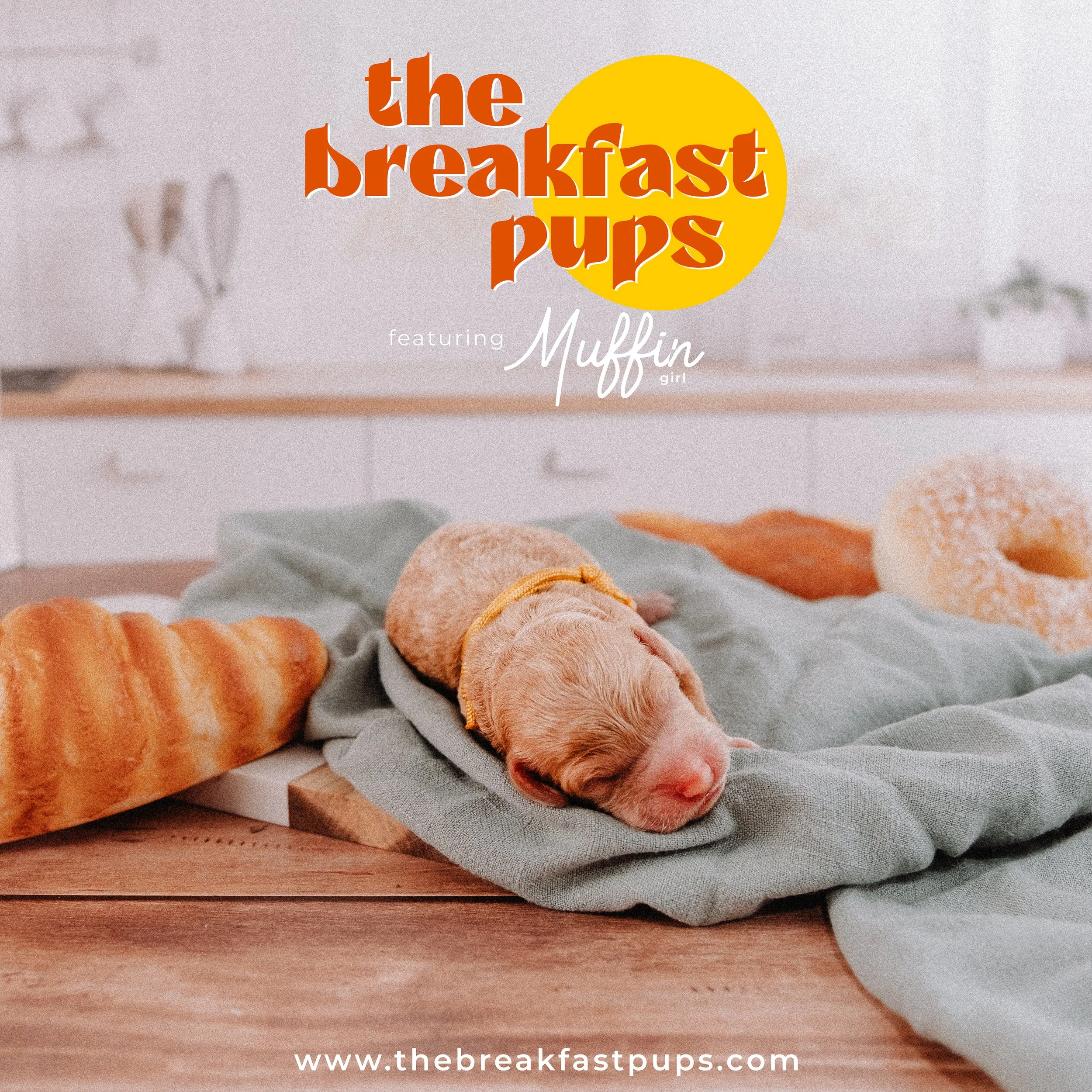 muffin - 1 day.jpg
