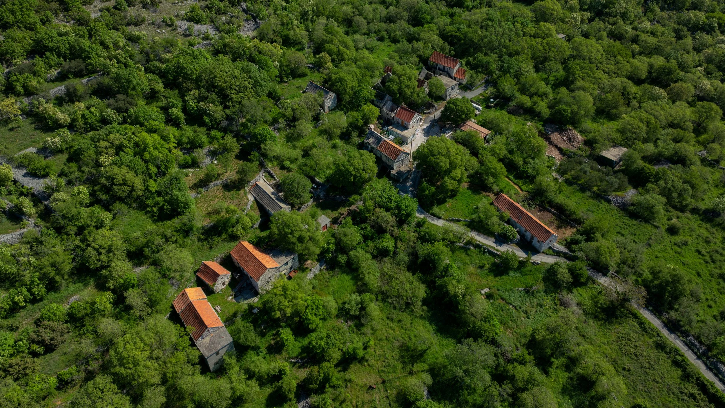 Aerial view of Vučevica, Croatia. with several houses and buildings with red-tiled roofs, surrounded by dense green trees and vegetation, along hilly terrain.