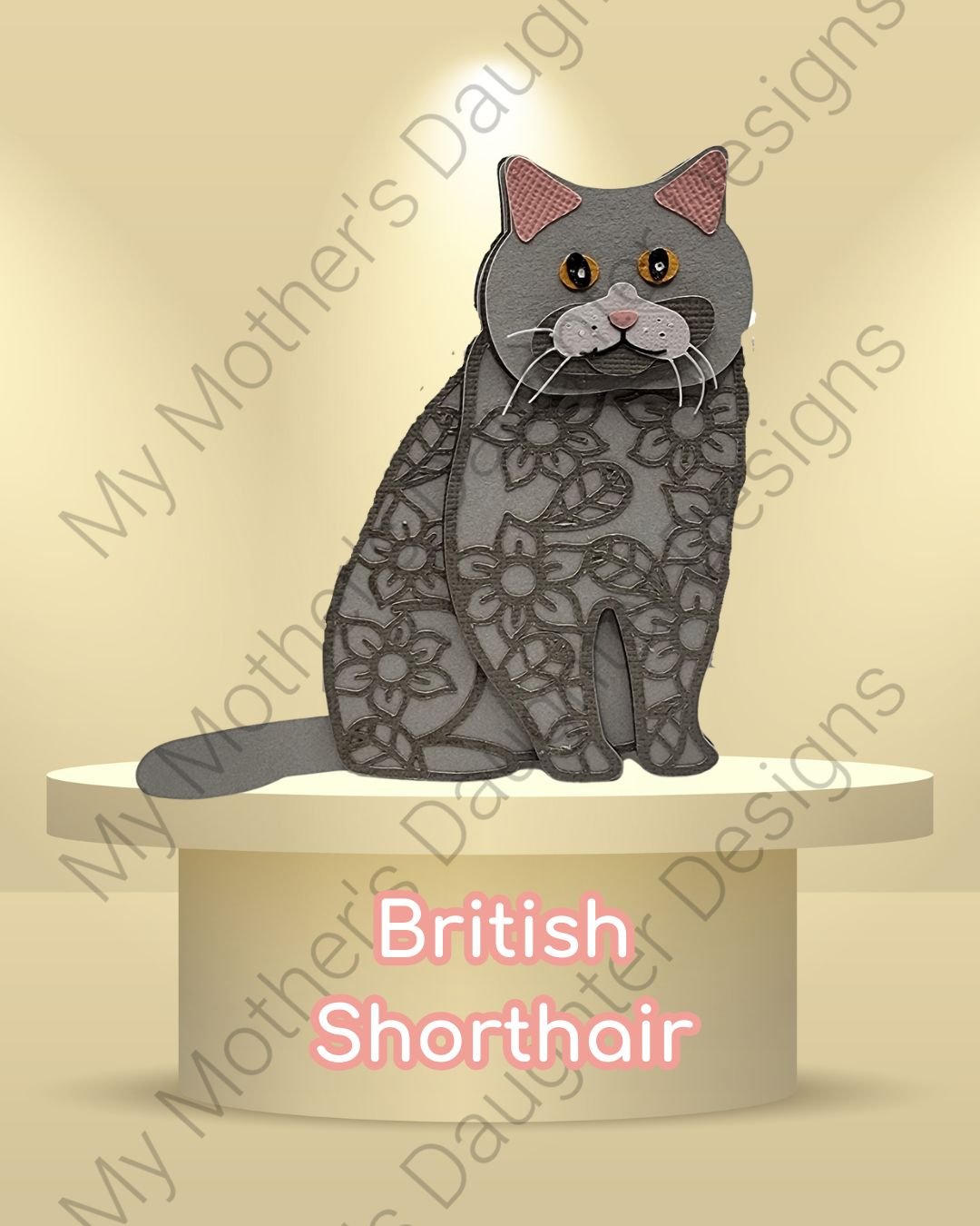 British Shorthair.jpg