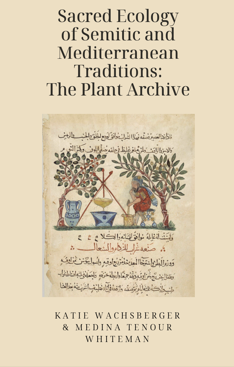 Sacred Ecology of Semitic and Mediterranean Traditions: First Edition EBook, by Medina Tenour Whiteman and Katie Wachsberger