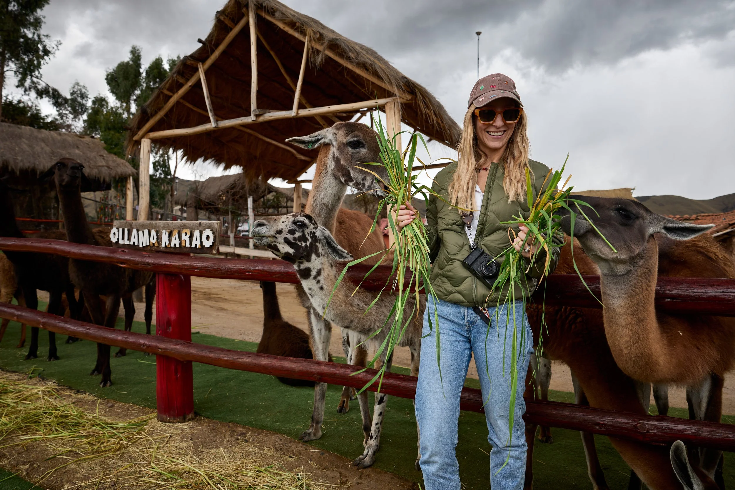 Manos de la Comunidad 1.jpg