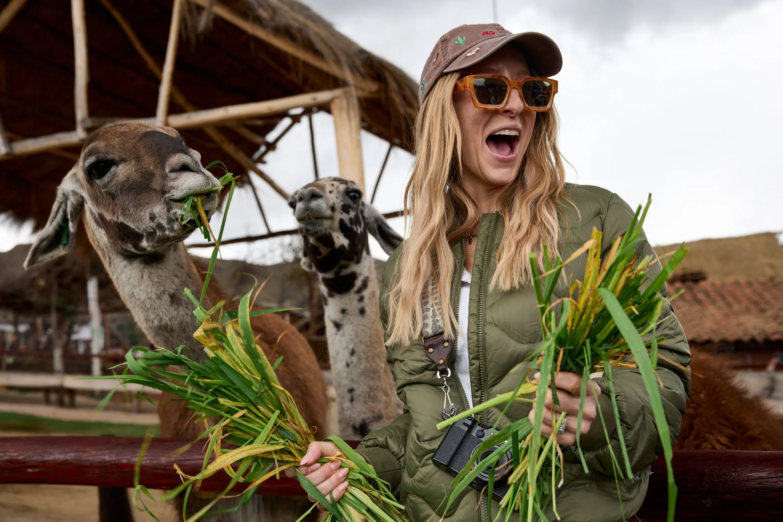 Manos de la Comunidad.jpg