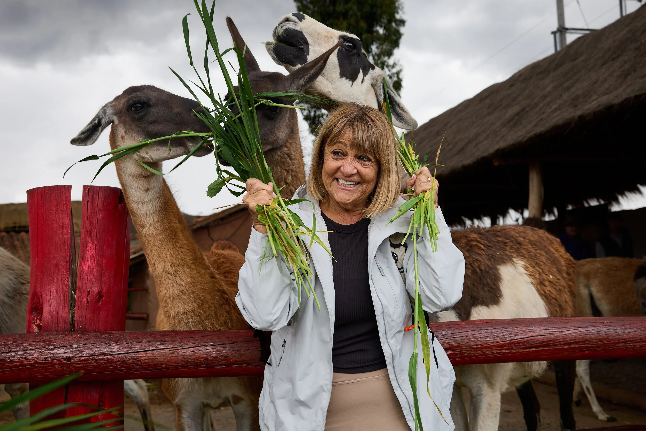 Manos de la Comunidad7.jpg
