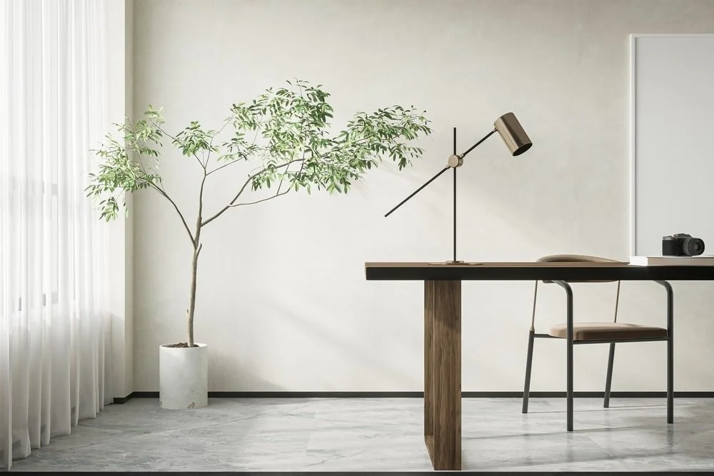Minimalist home office with a wooden desk, modern desk lamp, open book, camera, and chair, next to a tall potted plant near a window with white curtains.